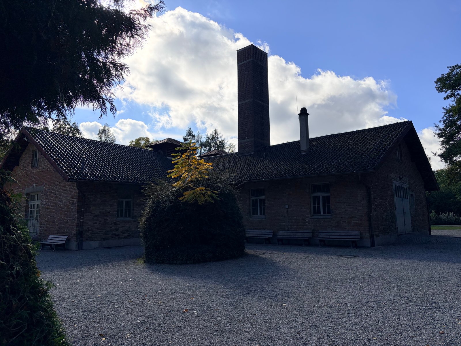 Post image 13